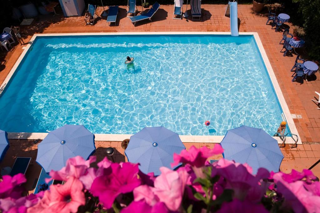 Hotel Leuco' Martinsicuro Bagian luar foto